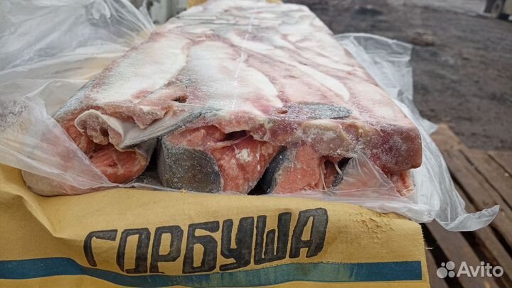 Горбуша Н/р с/м