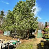 全てのアイテム дачи, Дома, коттеджи снять или продать купить, Кратово: в 🏡 その他