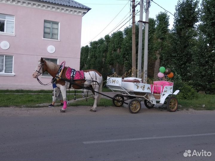 Фаэтон для лошади