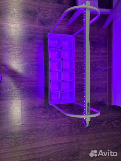 Набор для выращивания микрозелени и рассады