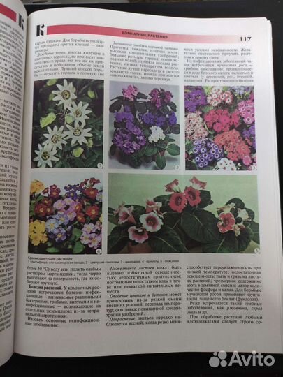 Книга Энциклопедия Дома и Семьи