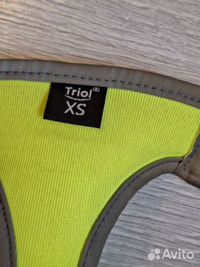 Шлейка для маленьких собак