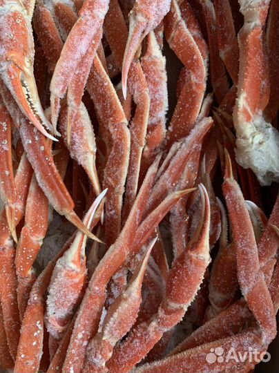 Крабы, креветки и ракушки