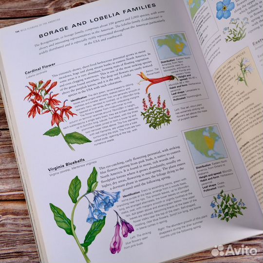 Винтажная книга о природе цветы