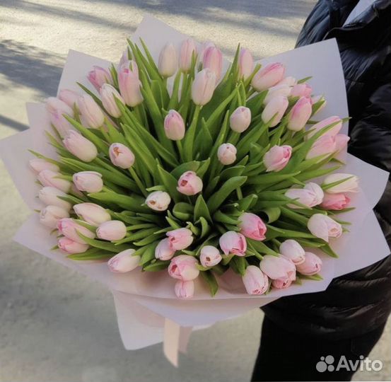 Цветы тюльпаны