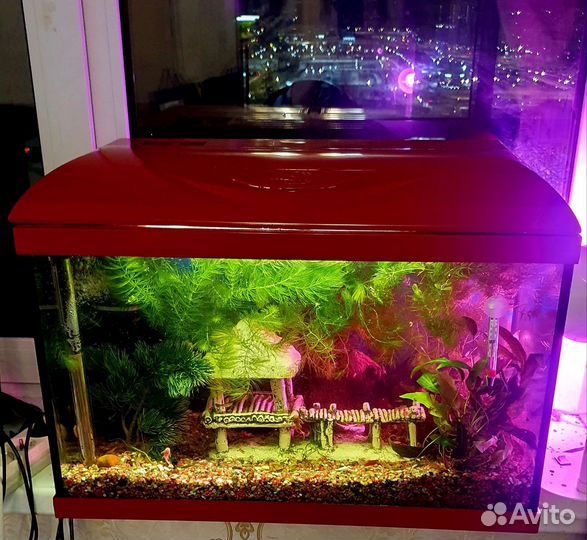 Аквариум 65 л Германия с таймером готовый