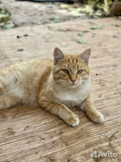 Спасём вместе