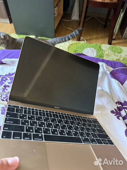 Apple macbook air 12