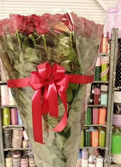 Высокие розы