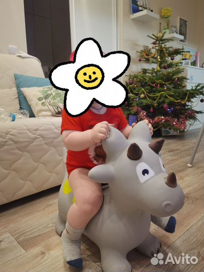 Прыгун дракончик