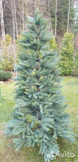 Ель искуственная 210 б/у