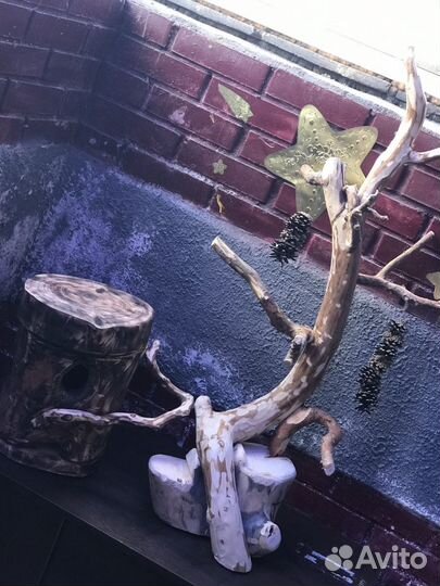 Для птиц и попугаев