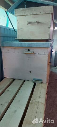 Продам ульи для пчел