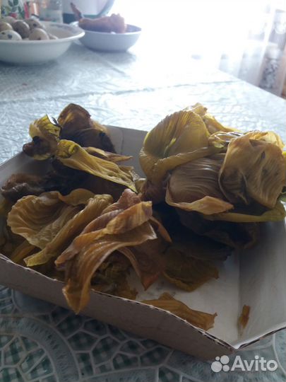 Пленка куриных желудков