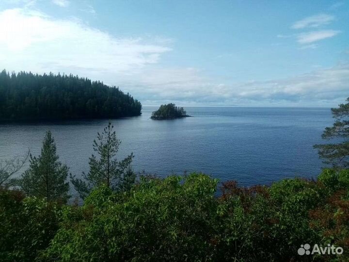 Организация рыбалки