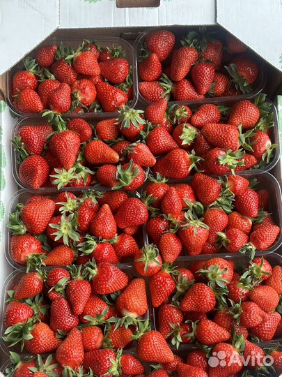 Овощи фрукты оптом