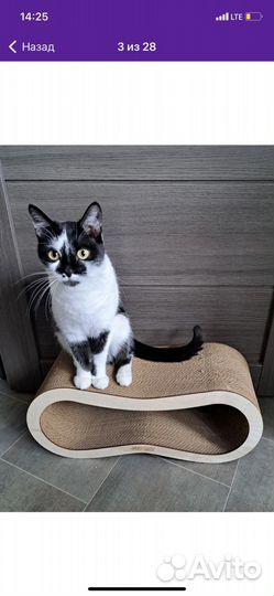 Когтеточка картонная для кошек