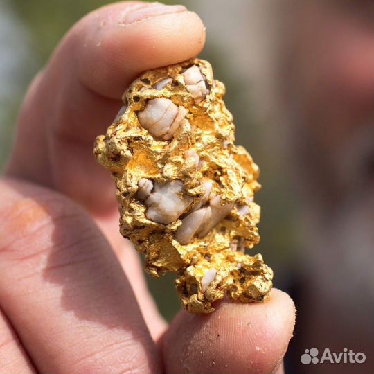 Металлоискатель Nokta&Makro Gold Kruzer в Твери