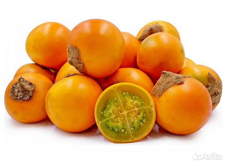 Луло (Наранхилла) саженцы