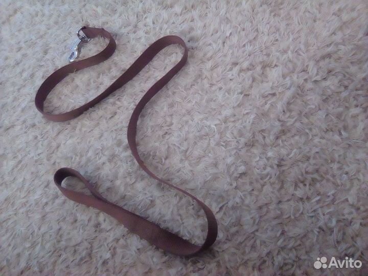 Поводок для собак