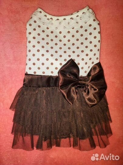 Одежда для собачки