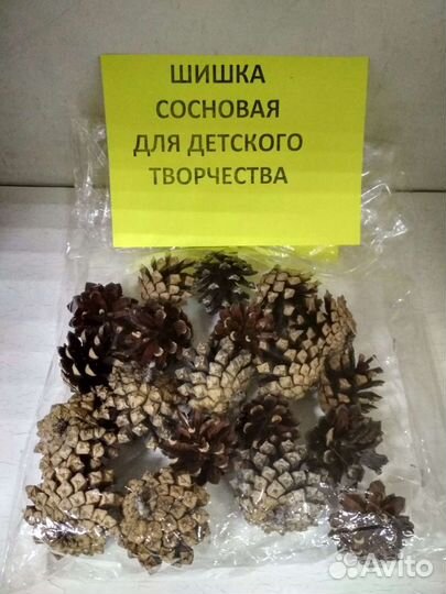 Шишка сосновая