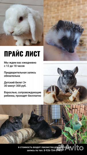 Мастер-класс