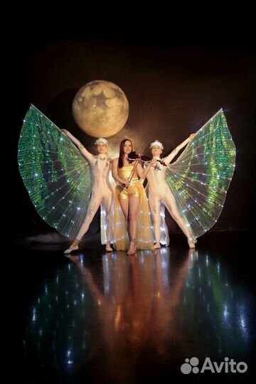 Шоу на свадьбу. Заказать скрипку, живая музыка