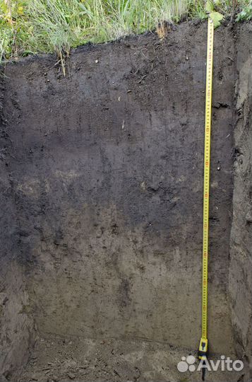 Торф, грунт, перегной, чернозем