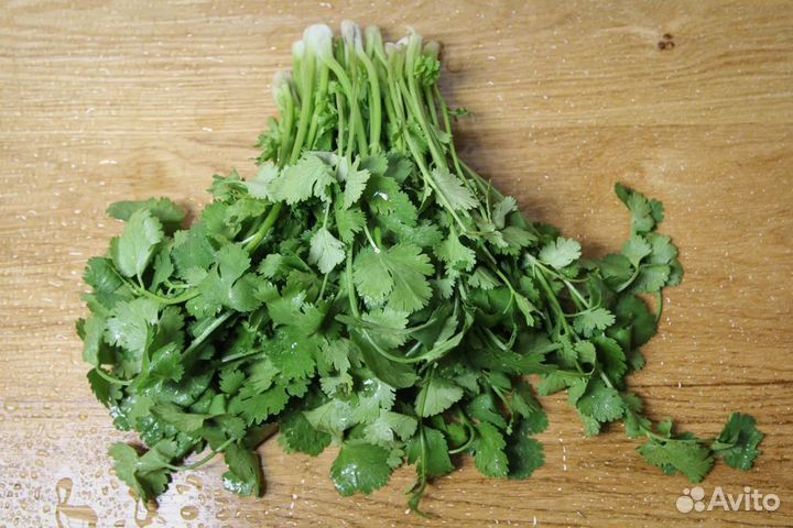 Зелень Оптом