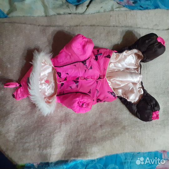 Зимний комбез для собачек маленьких пород