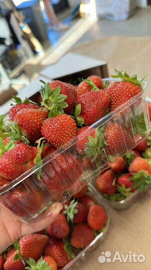 Клубника свежая Ярославль