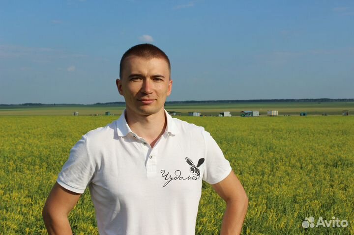 Мёд оптом, своя пасека, от 1 кг - Нижнекамск