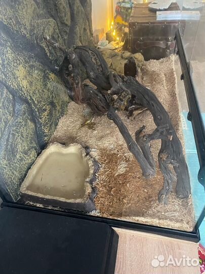 Террарим Exo-Terra 90x45x45