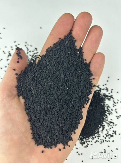 Тмин Индийский