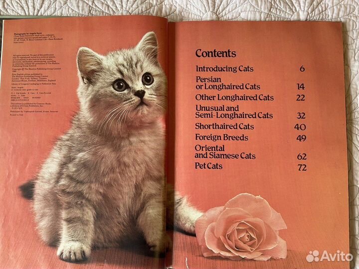 Книги о кошках. Одна книга на Английском языке)