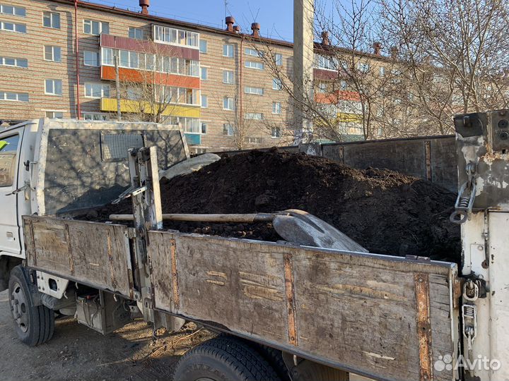 Перегной есть навоз коровий