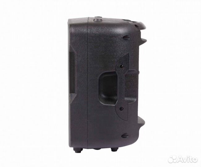 Акустическая система BLG BP13-08A10