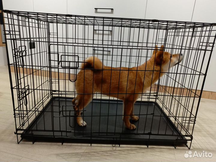 Клетка для животных