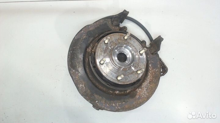 Ступица (кулак, цапфа) Infiniti QX56, 2004