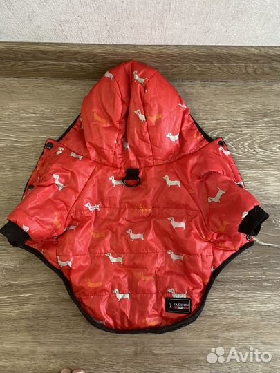 Одежда для собак