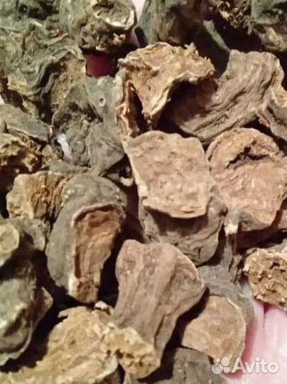 Калган корень 100г