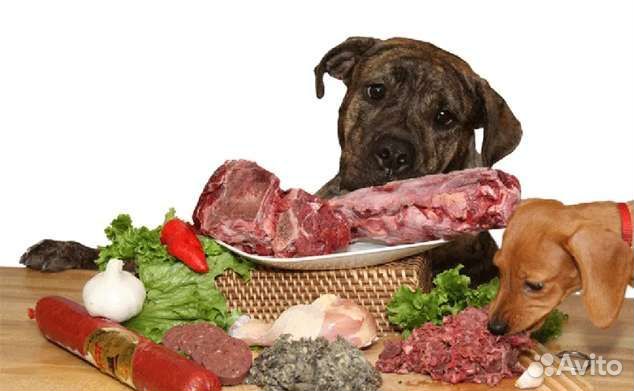 Мясо для ваших любимцев