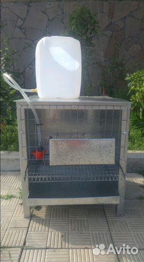 Клетка на 10 перепелов