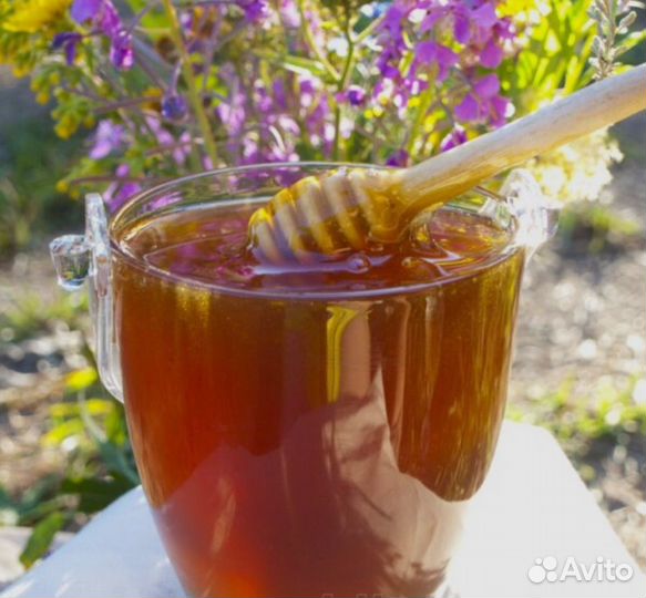 Мед таежный, разнотравье