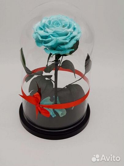Роза в колбе