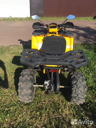 Avantis hunter 200 big premium