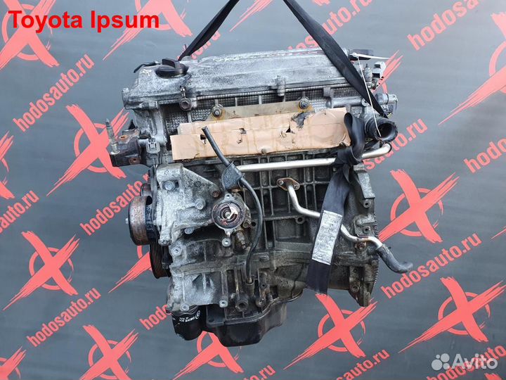Двигатель 2AZ-FE Toyota Ipsum