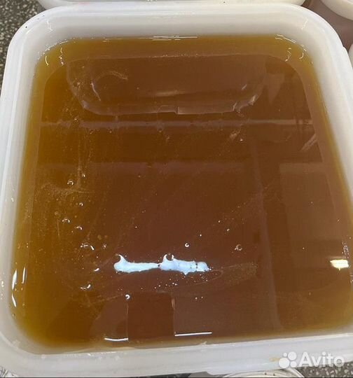 Липовый мёд. Качка 2023 г. Оптом