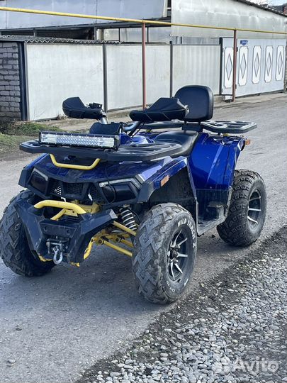 Квадроцикл motoland wild track x pro 300